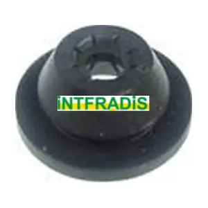 1996 INTFRADIS