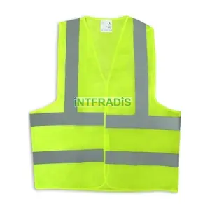 489 INTFRADIS
