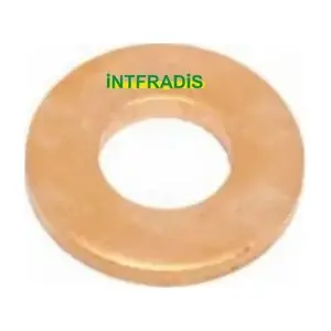 10151 INTFRADIS