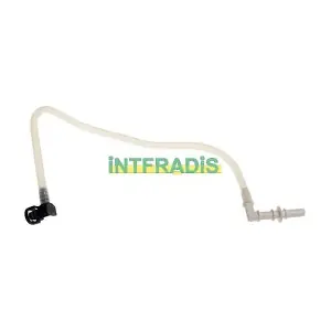 10244 INTFRADIS