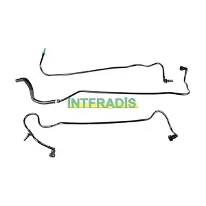 10247 INTFRADIS