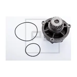020.100-00A PE Automotive