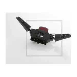 010.202-00A PE Automotive