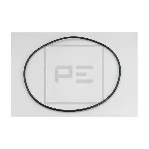 029.025-00A PE Automotive