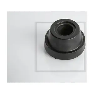 123.001-00A PE Automotive