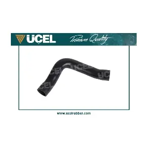 65366 UCEL