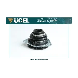 10976 UCEL