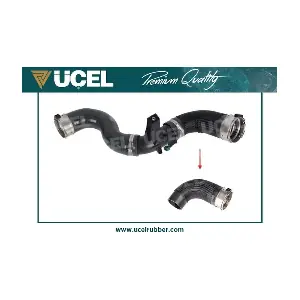 16098 UCEL