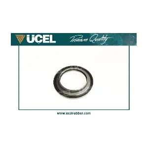 41589 UCEL
