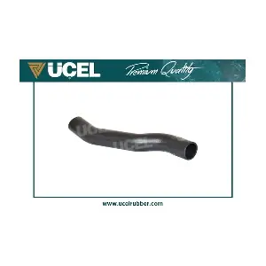 21161 UCEL