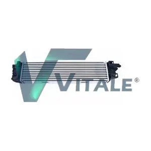RE614882 VITALE