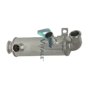 PE161844 VITALE