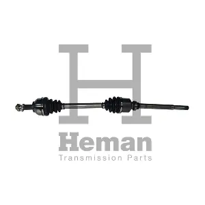 TD75090 HEMAN
