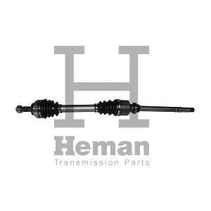 TD70460 HEMAN