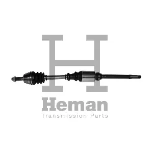 TD71660 HEMAN