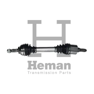 TD80920 HEMAN