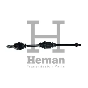 TD75389 HEMAN