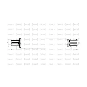 SG53970 TOOR