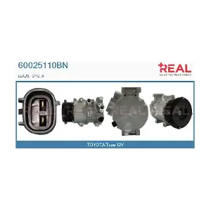 60025110BN REAL