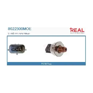 8022300MOE REAL