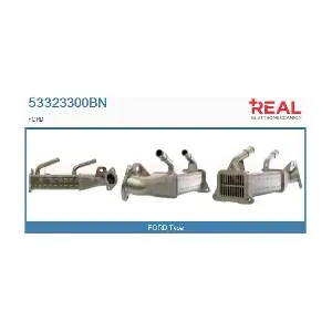 53323300BN REAL