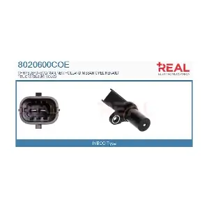 8020600COE REAL