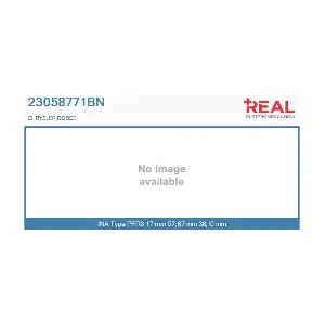 23058771BN REAL