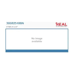 30082510BN REAL