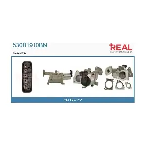 53081910BN REAL