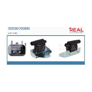 30090700BN REAL