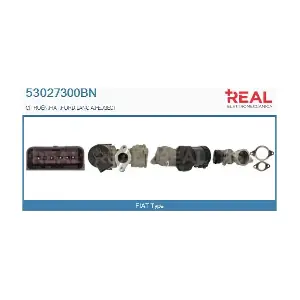 53027300BN REAL