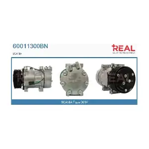 60011300BN REAL