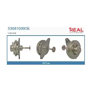 53081030OE REAL