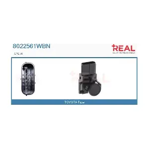 8022561WBN REAL