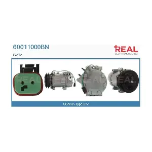 60011000BN REAL
