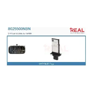 8025500NBN REAL