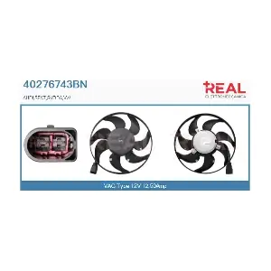 40276743BN REAL