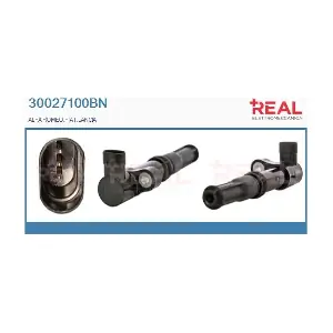 30027100BN REAL