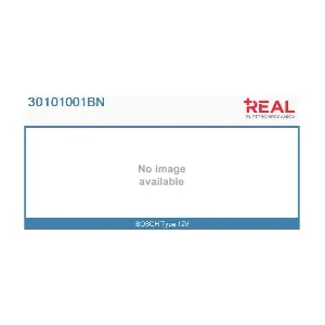 30101001BN REAL