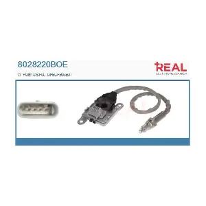 8028220BOE REAL