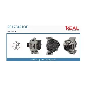 20179421OE REAL