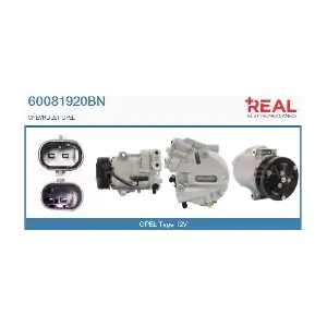 60081920BN REAL