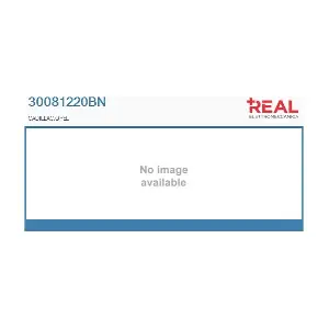 30081220BN REAL