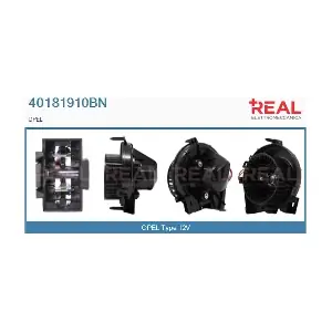 40181910BN REAL