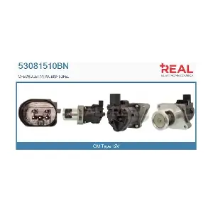 53081510BN REAL