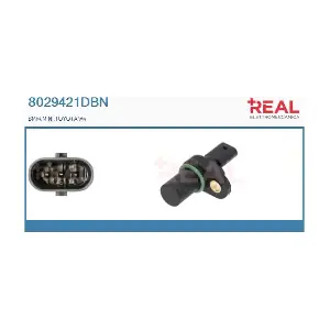 8029421DBN REAL