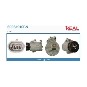 60081910BN REAL