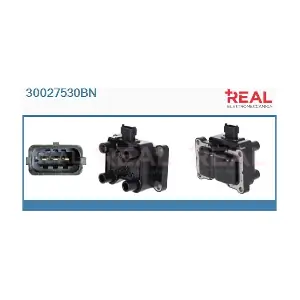 30027530BN REAL