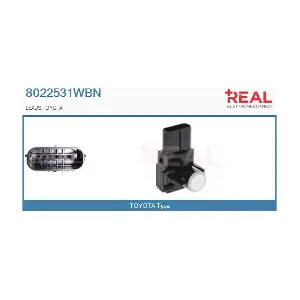 8022531WBN REAL