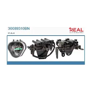 30089310BN REAL